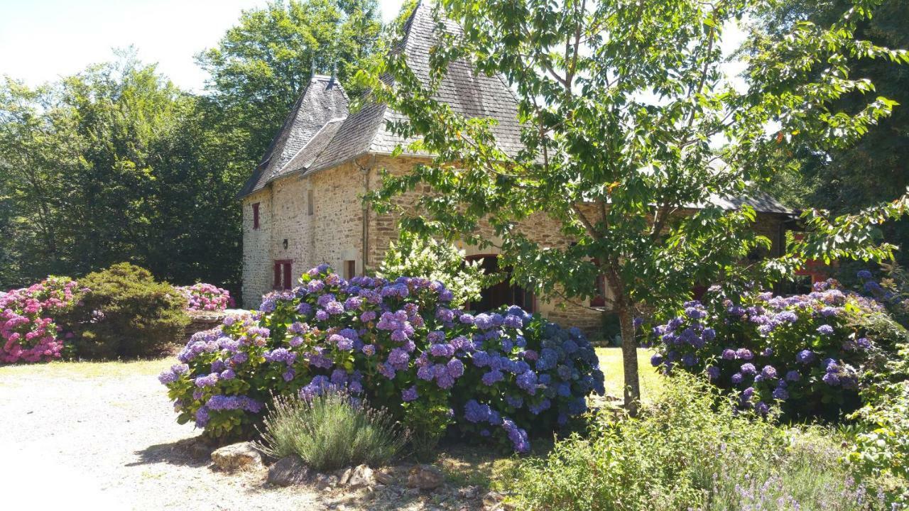 Chateau De Bellefond Lagrauliere Luaran gambar